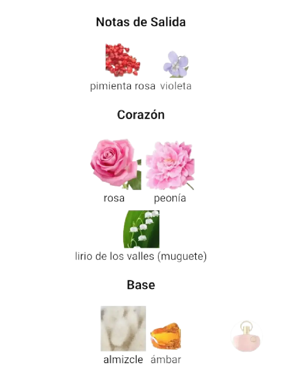 Afnan Supremacy Pink Afnan Mujer 100 Ml EDP RF: 11137 4