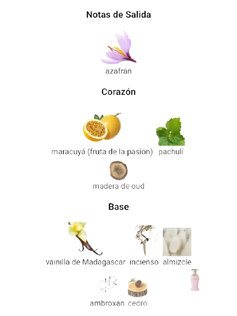 Afnan Kiaanna Crush Afnan 100 Ml EDP Mujer RF: 11114 4