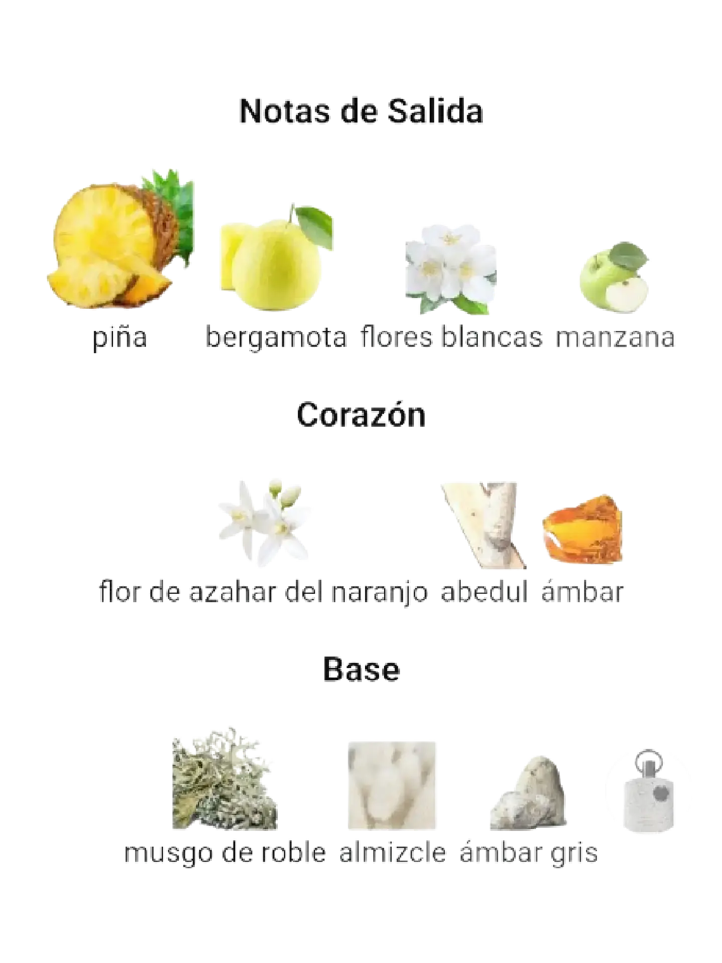 Afnan Supremacy collectors edition Afnan 100 Ml EDP RF: 11113 4