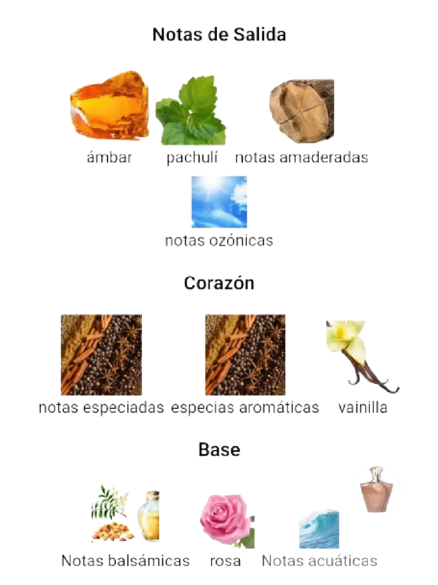 Afnan Turathi Brown Afnan 100 Ml EDP Hombre RF: 10777 4