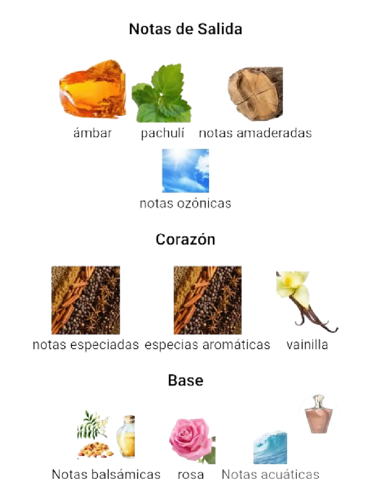 Afnan Turathi Brown Afnan 100 Ml EDP Hombre RF: 10777 4