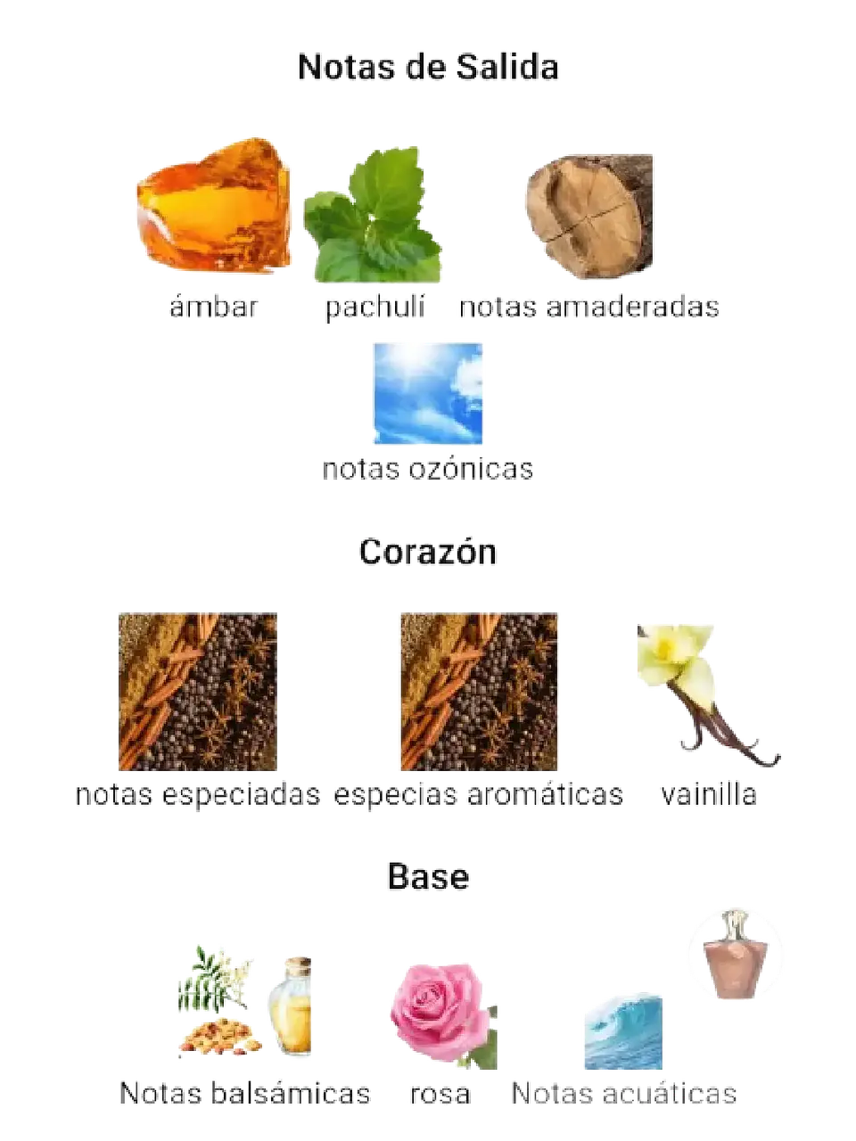 Afnan Turathi Brown Afnan 100 Ml EDP Hombre RF: 10777 4