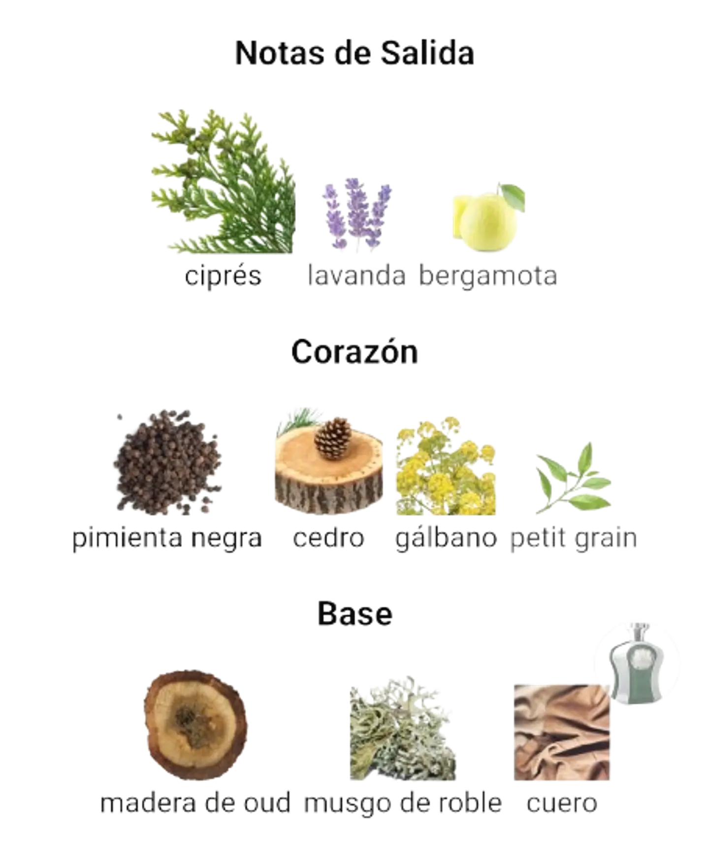 Afnan Highness III De Afnan Hombre 100 ML EDP RF: 10434 5