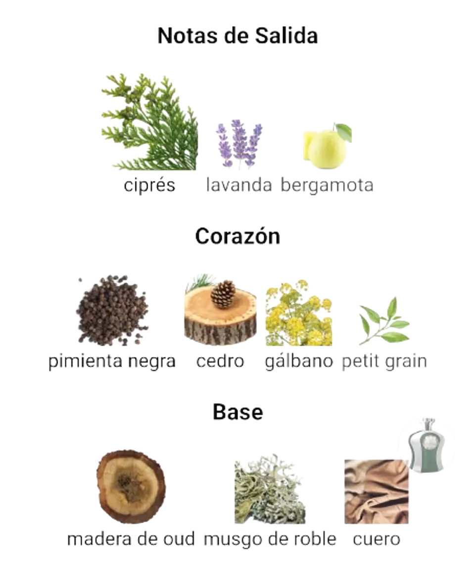 Afnan Highness III De Afnan Hombre 100 ML EDP RF: 10434 5