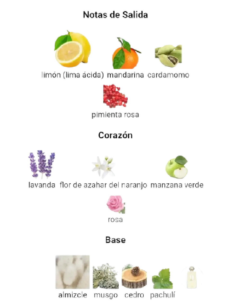 Afnan 9 Am De Afnan 100 ML Hombre EDP RF: 10010 4