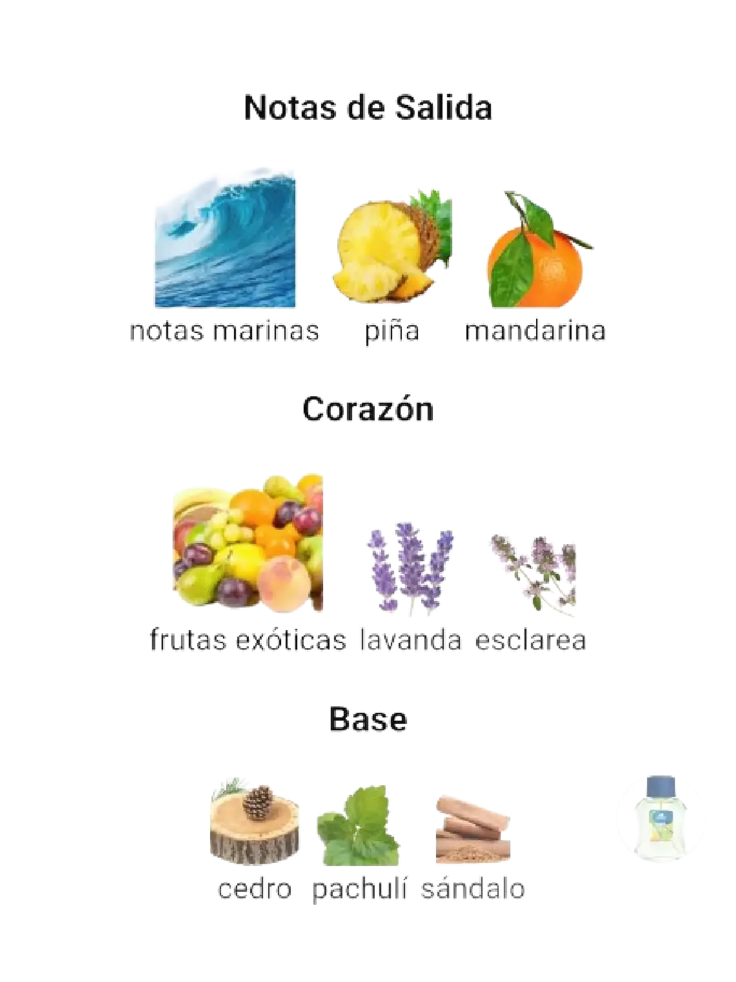 Adidas Get Ready De Adidas 100 ML Hombre EDT RF: 6443 4