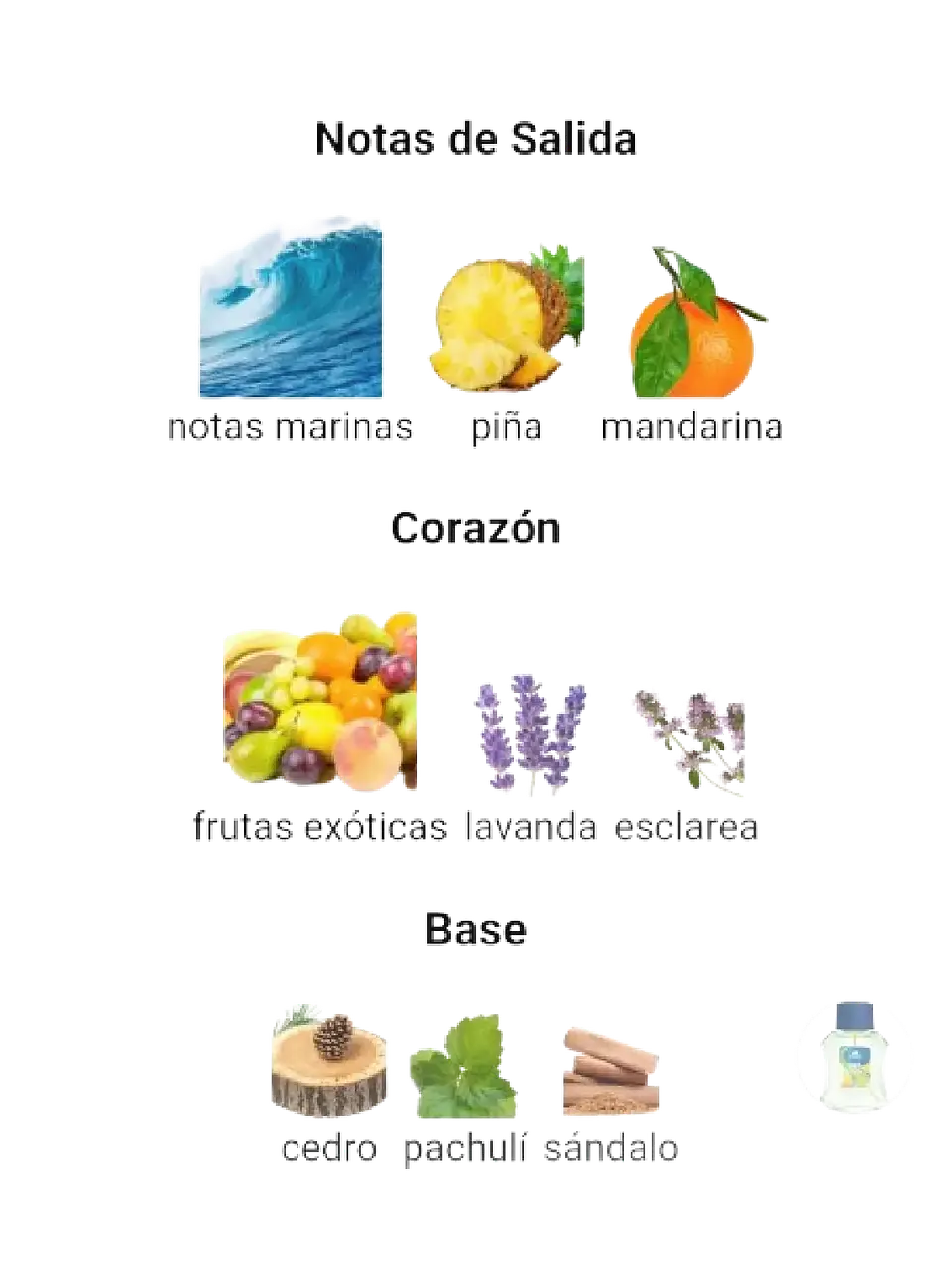 Adidas Get Ready De Adidas 100 ML Hombre EDT RF: 6443 4