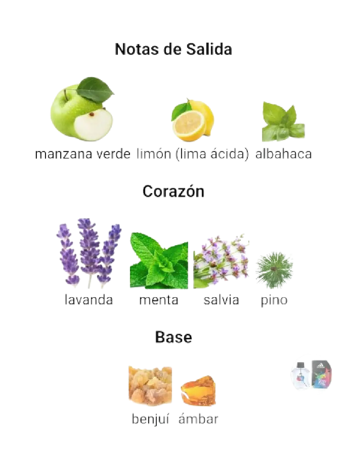 Adidas Adidas Team Five 100 ML Hombre EDT RF:4395 4