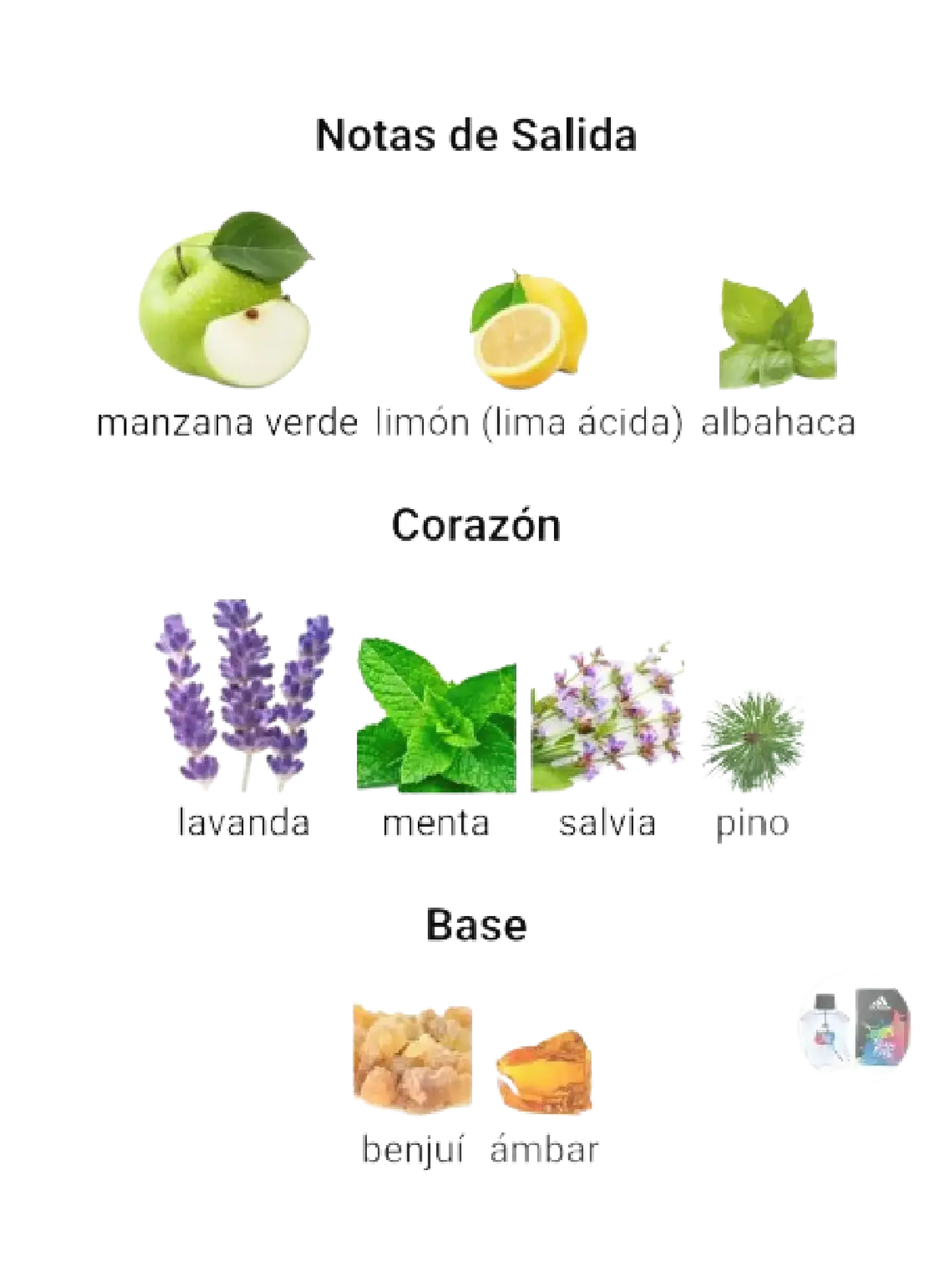 Adidas Adidas Team Five 100 ML Hombre EDT RF:4395 4