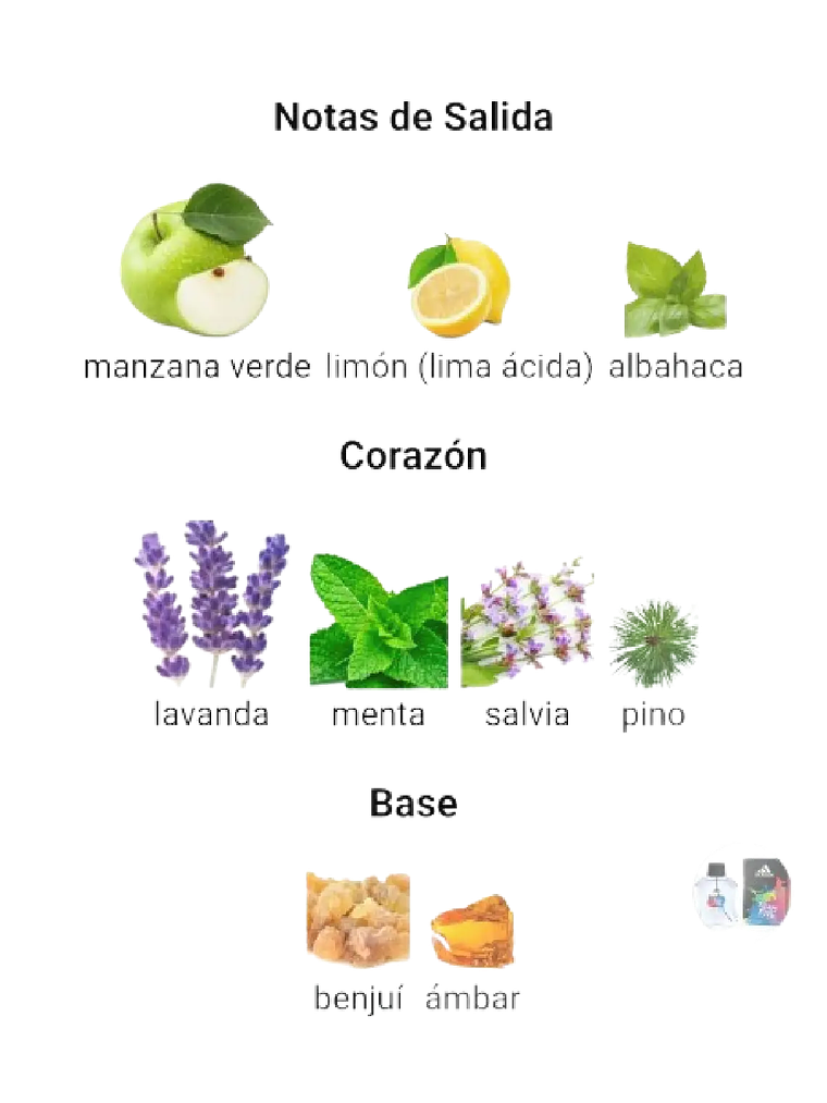 Adidas Adidas Team Five 100 ML Hombre EDT RF:4395 4