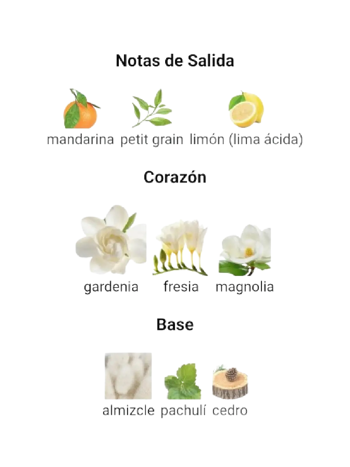 Adolfo Domínguez Aguafresca De Gardenia Adolfo Dominguez 120 ML Mujer EDT RF: 10974 4