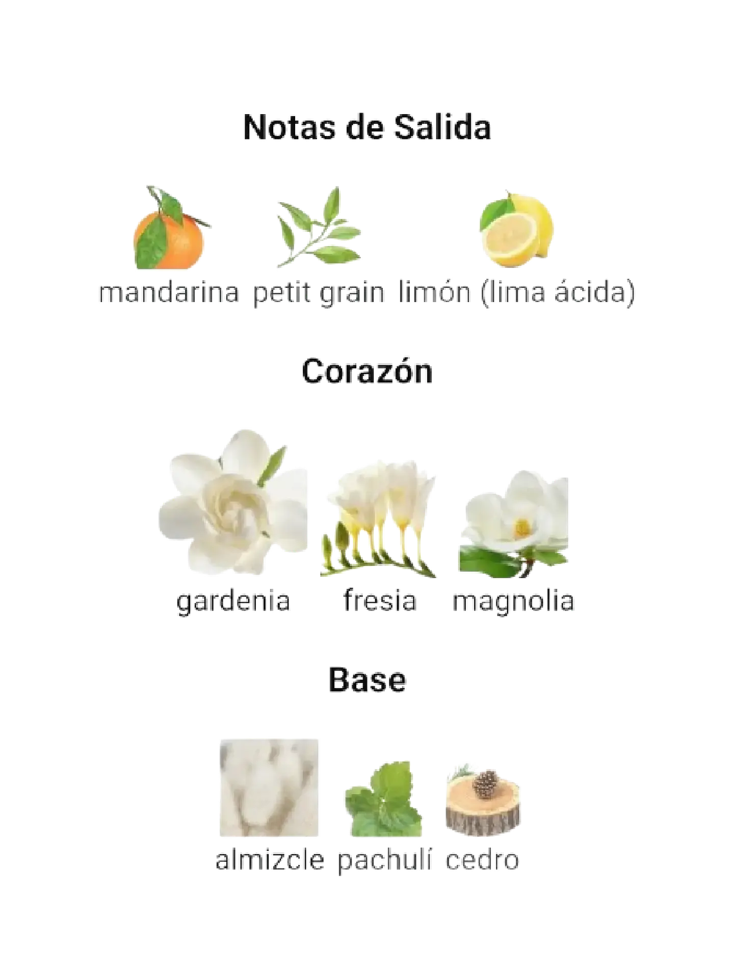 Adolfo Domínguez Aguafresca De Gardenia Adolfo Dominguez 120 ML Mujer EDT RF: 10974 4