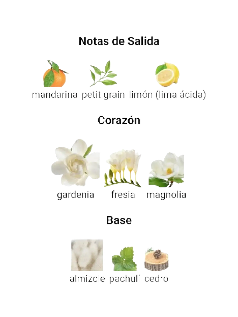 Adolfo Domínguez Aguafresca De Gardenia Adolfo Dominguez 120 ML Mujer EDT RF: 10974 4