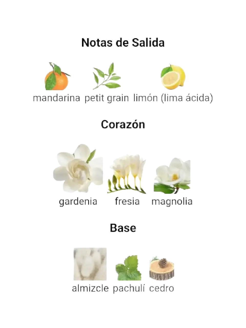 Adolfo Domínguez Aguafresca De Gardenia Adolfo Dominguez 120 ML Mujer EDT RF: 10974 4