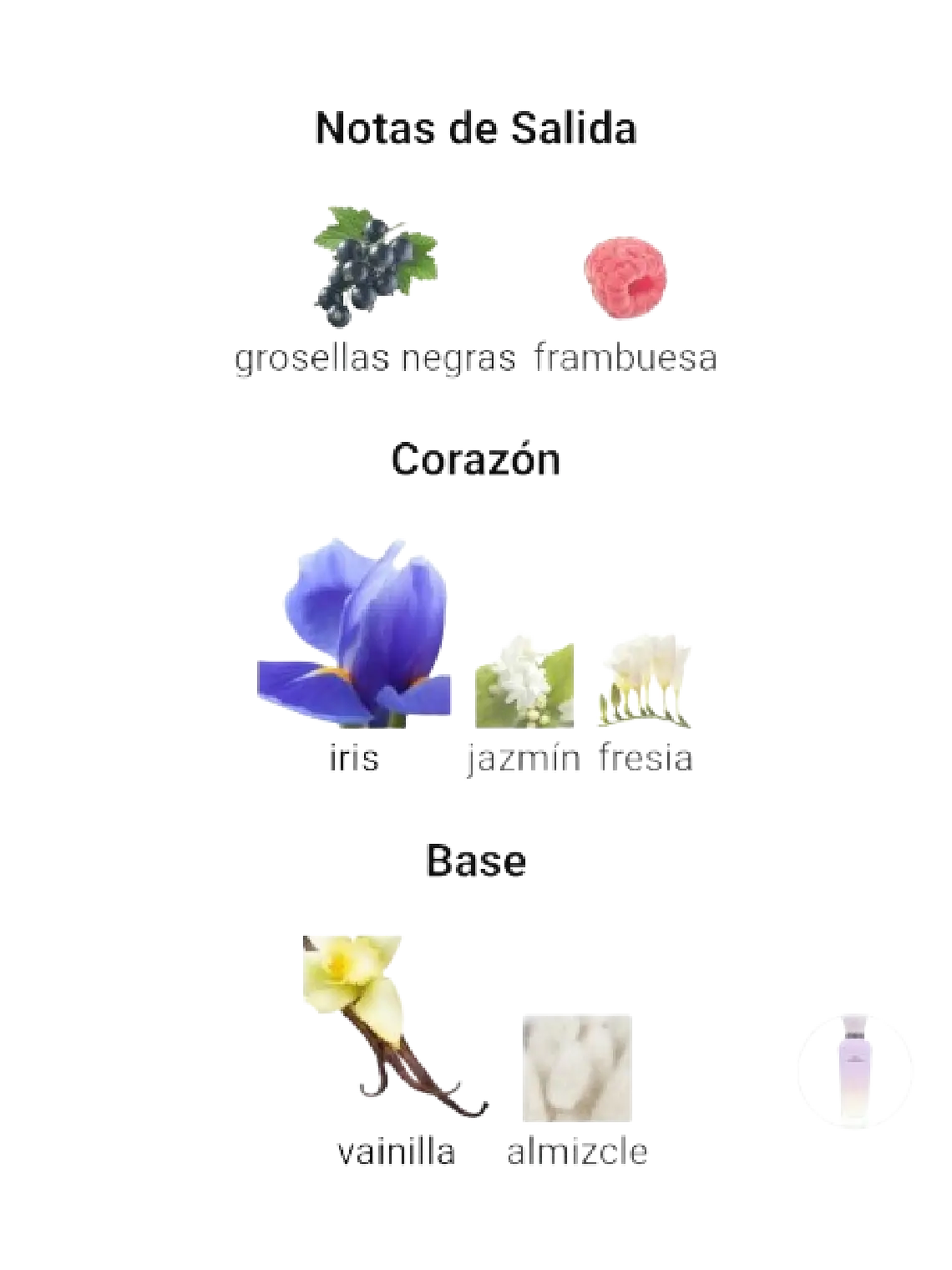 Adolfo Domínguez Iris Vainilla Adolfo Dominguez 120 ML Mujer EDP RF: 10638 4