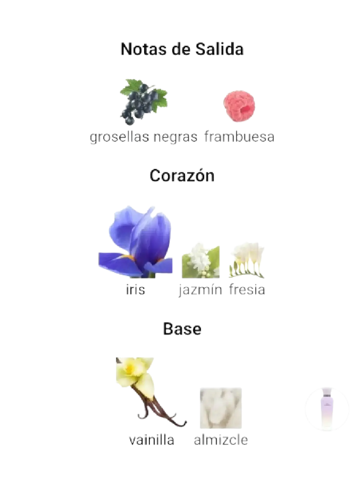 Adolfo Domínguez Iris Vainilla Adolfo Dominguez 120 ML Mujer EDP RF: 10638 4