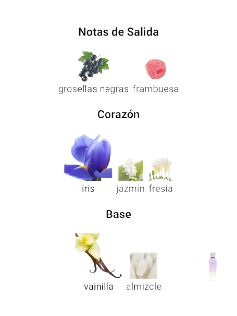 Adolfo Domínguez Iris Vainilla Adolfo Dominguez 120 ML Mujer EDP RF: 10638 4