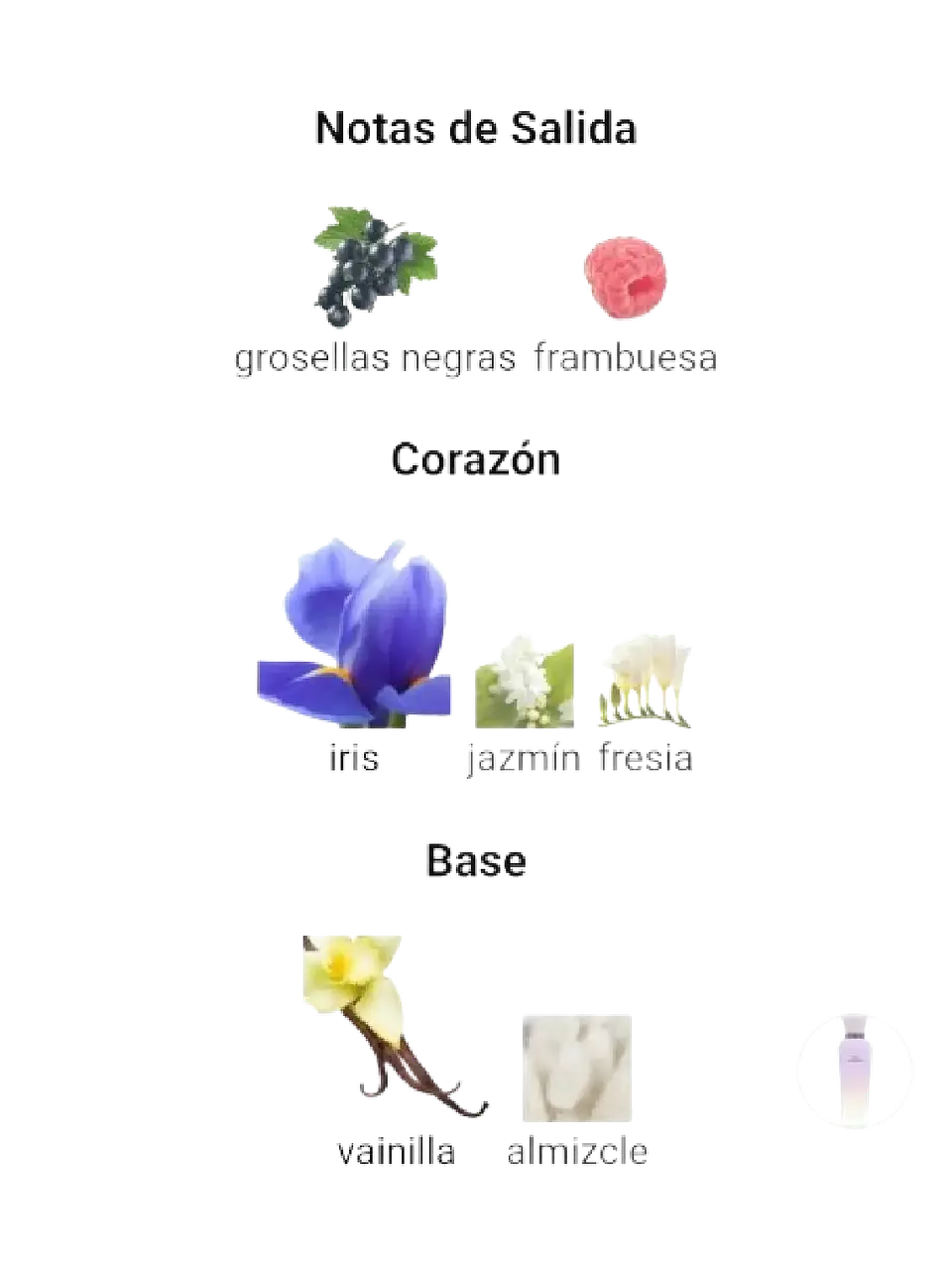 Adolfo Domínguez Iris Vainilla Adolfo Dominguez 120 ML Mujer EDP RF: 10638 4