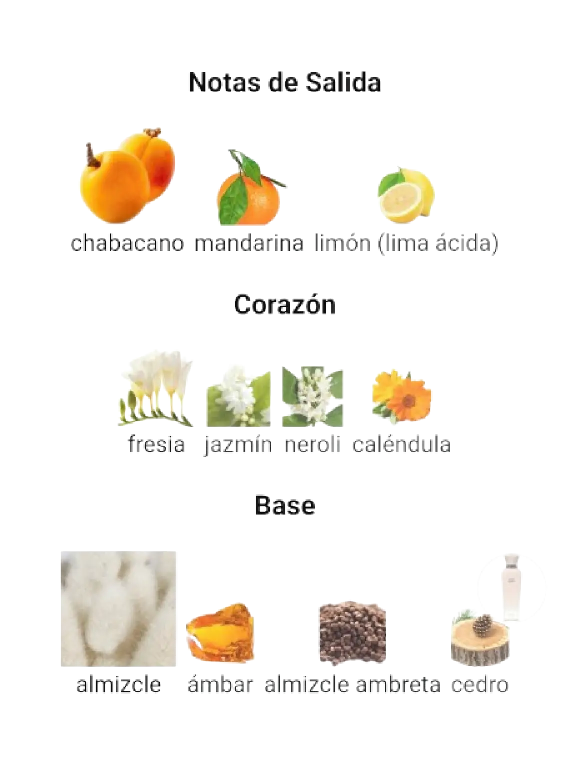 Adolfo Domínguez Nude Musk Adolfo Dominguez Dama 120 ML EDP RF: 10381 4