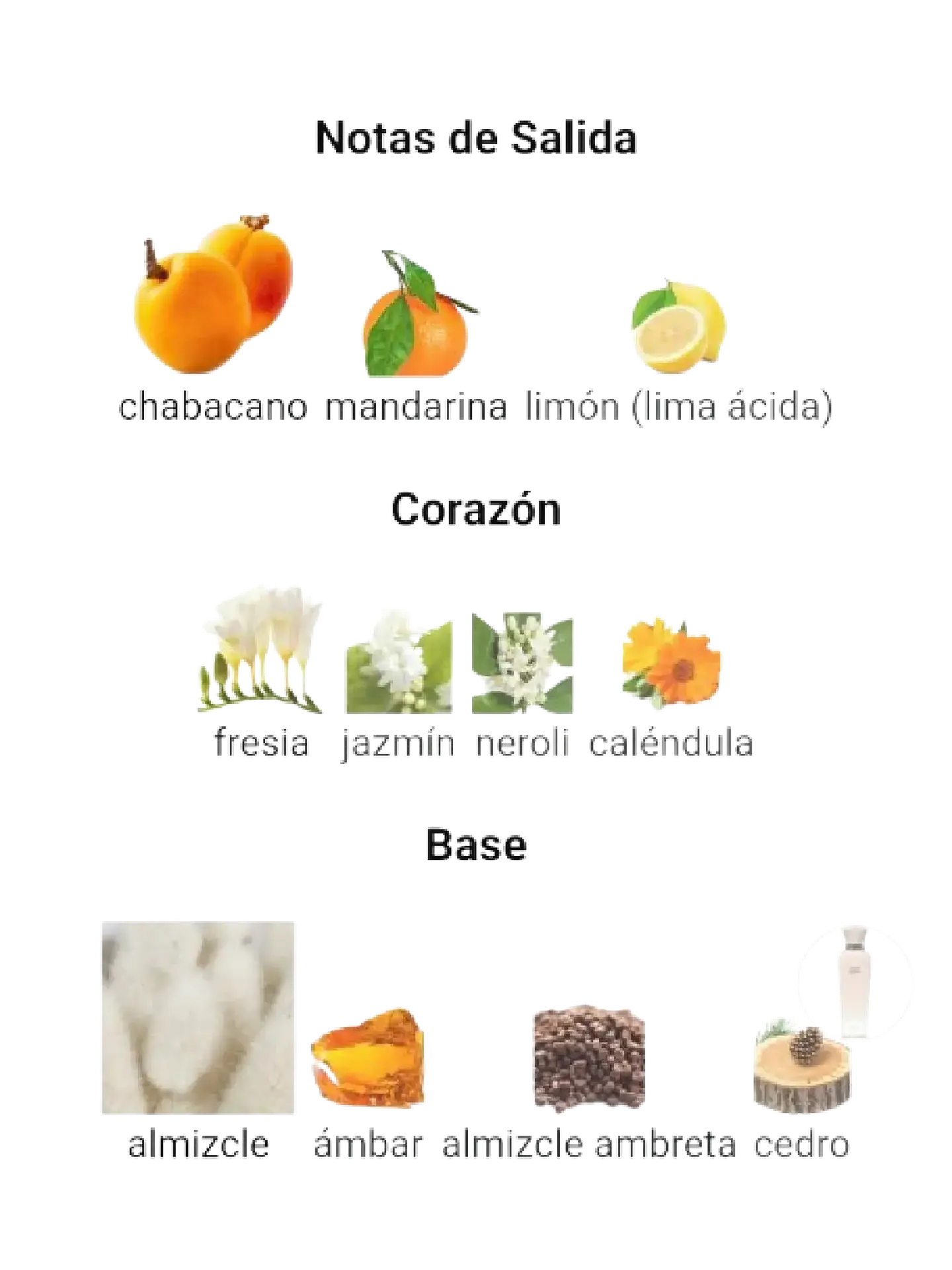 Adolfo Domínguez Nude Musk Adolfo Dominguez Dama 120 ML EDP RF: 10381 4