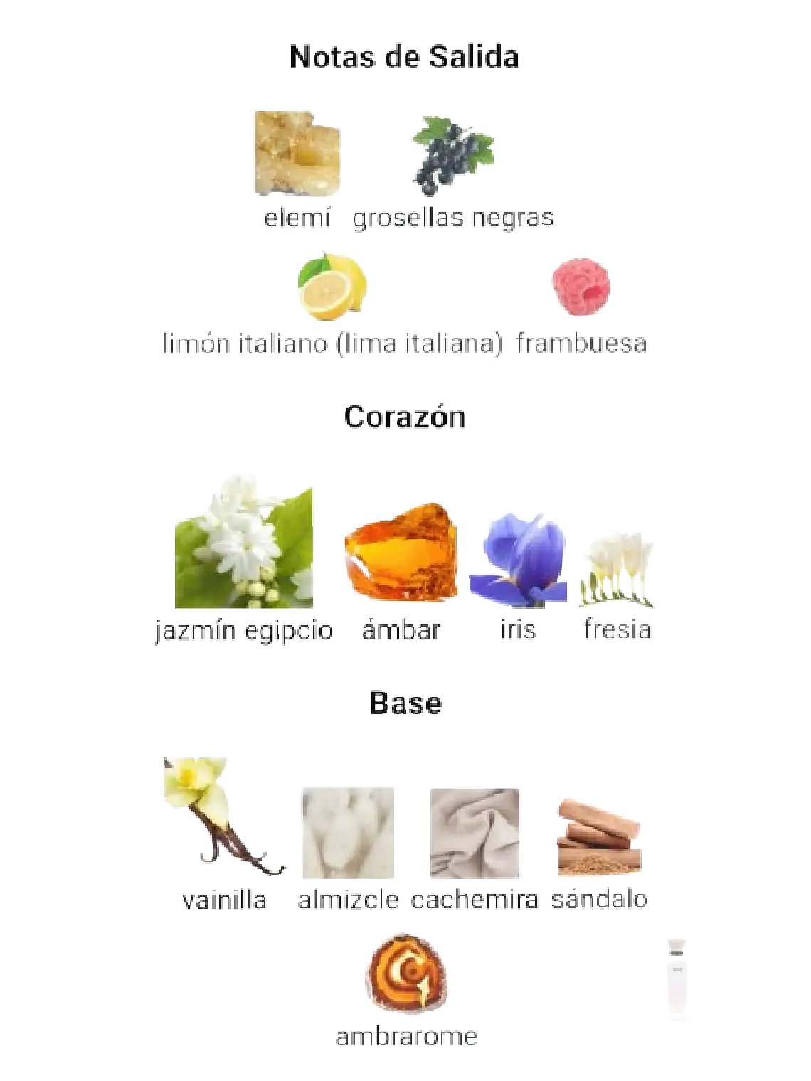 Adolfo Domínguez Jazmín Tonka Adolfo Dominguez 120 ML Mujer EDP RF: 10378 4