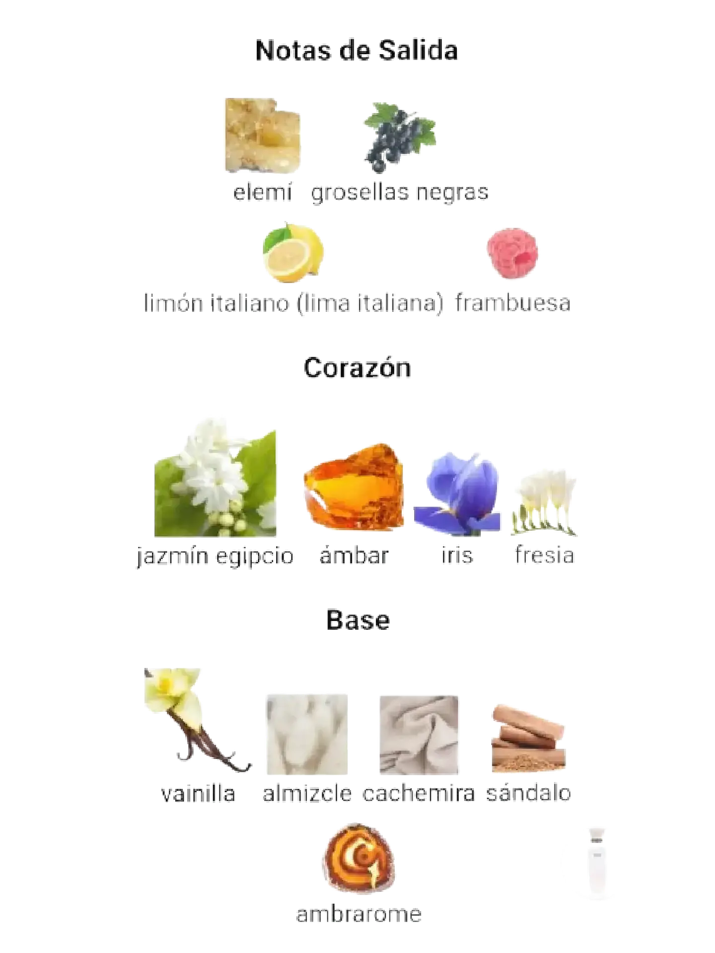 Adolfo Domínguez Jazmín Tonka Adolfo Dominguez 120 ML Mujer EDP RF: 10378 4