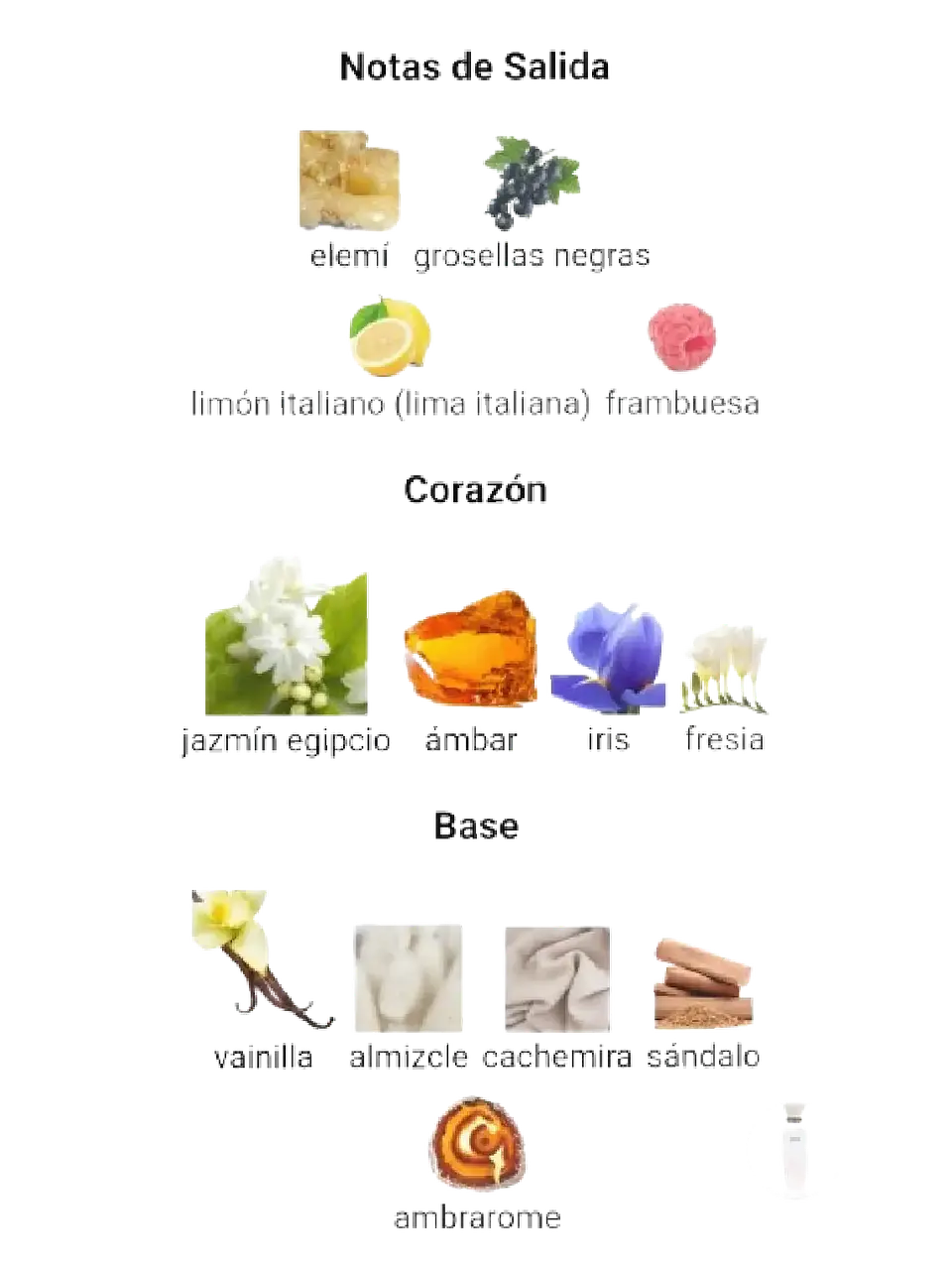 Adolfo Domínguez Jazmín Tonka Adolfo Dominguez 120 ML Mujer EDP RF: 10378 4