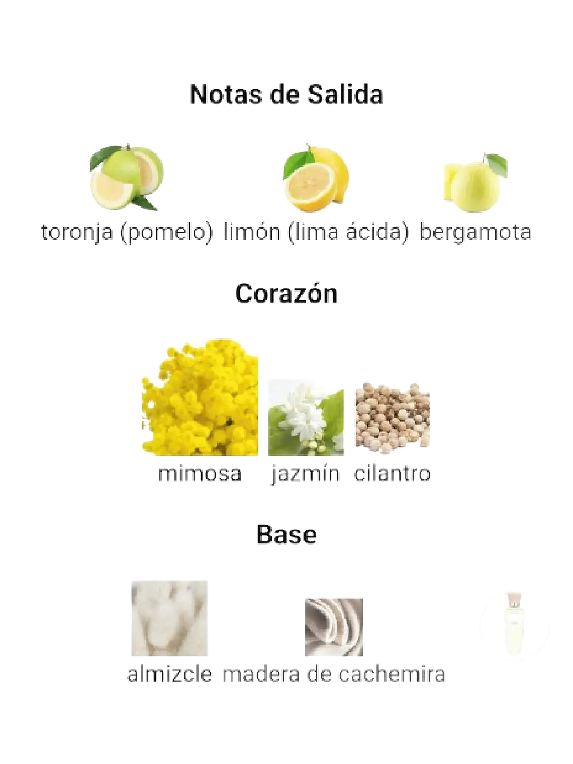 Adolfo Domínguez Aguafresca De Mimosa Coriandro Adolfo Dominguez 120 ML Mujer EDT RF: 10377 4