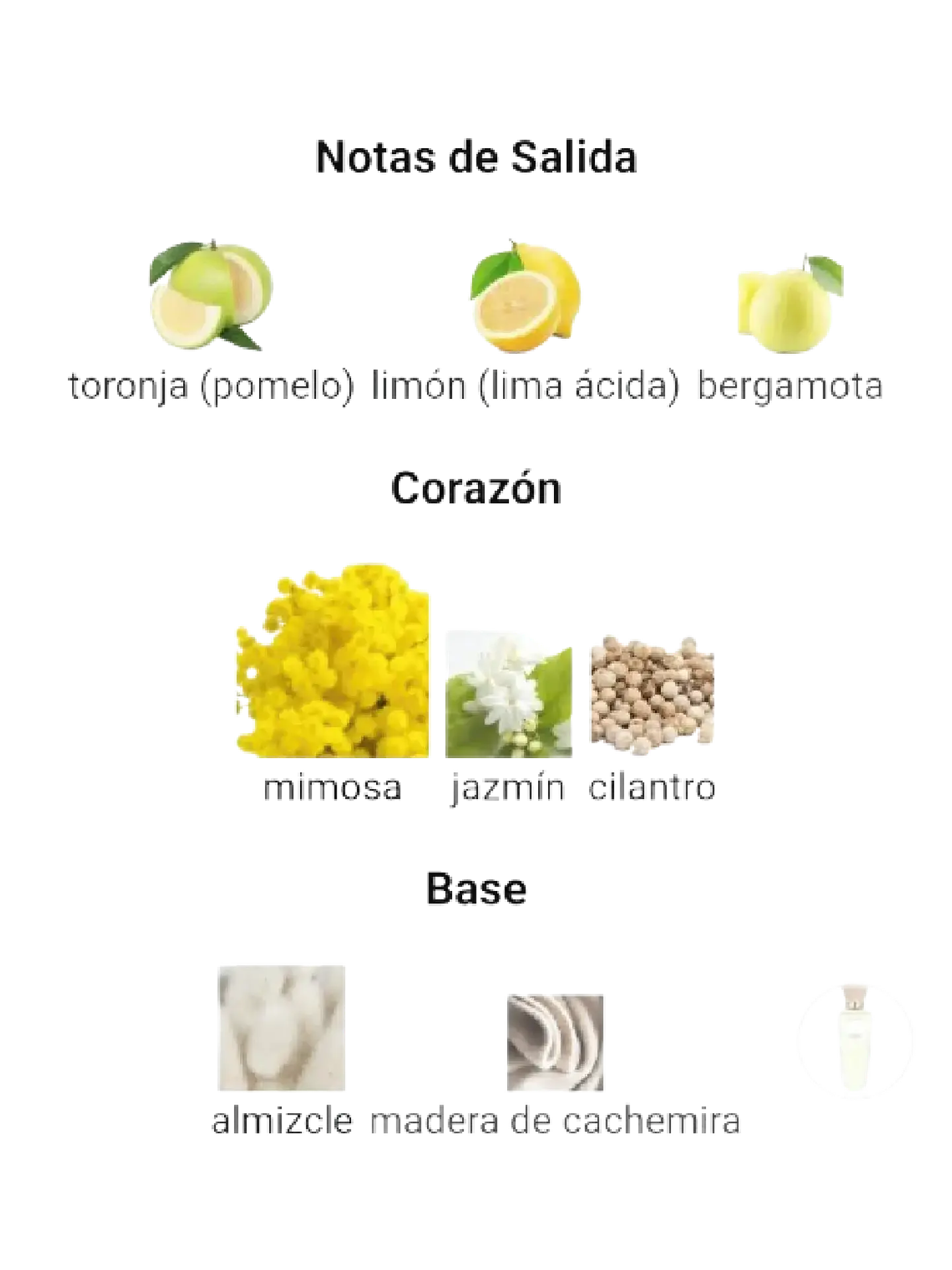 Adolfo Domínguez Aguafresca De Mimosa Coriandro Adolfo Dominguez 120 ML Mujer EDT RF: 10377 4