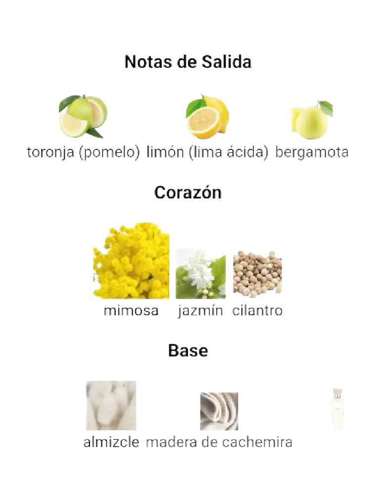 Adolfo Domínguez Aguafresca De Mimosa Coriandro Adolfo Dominguez 120 ML Mujer EDT RF: 10377 4