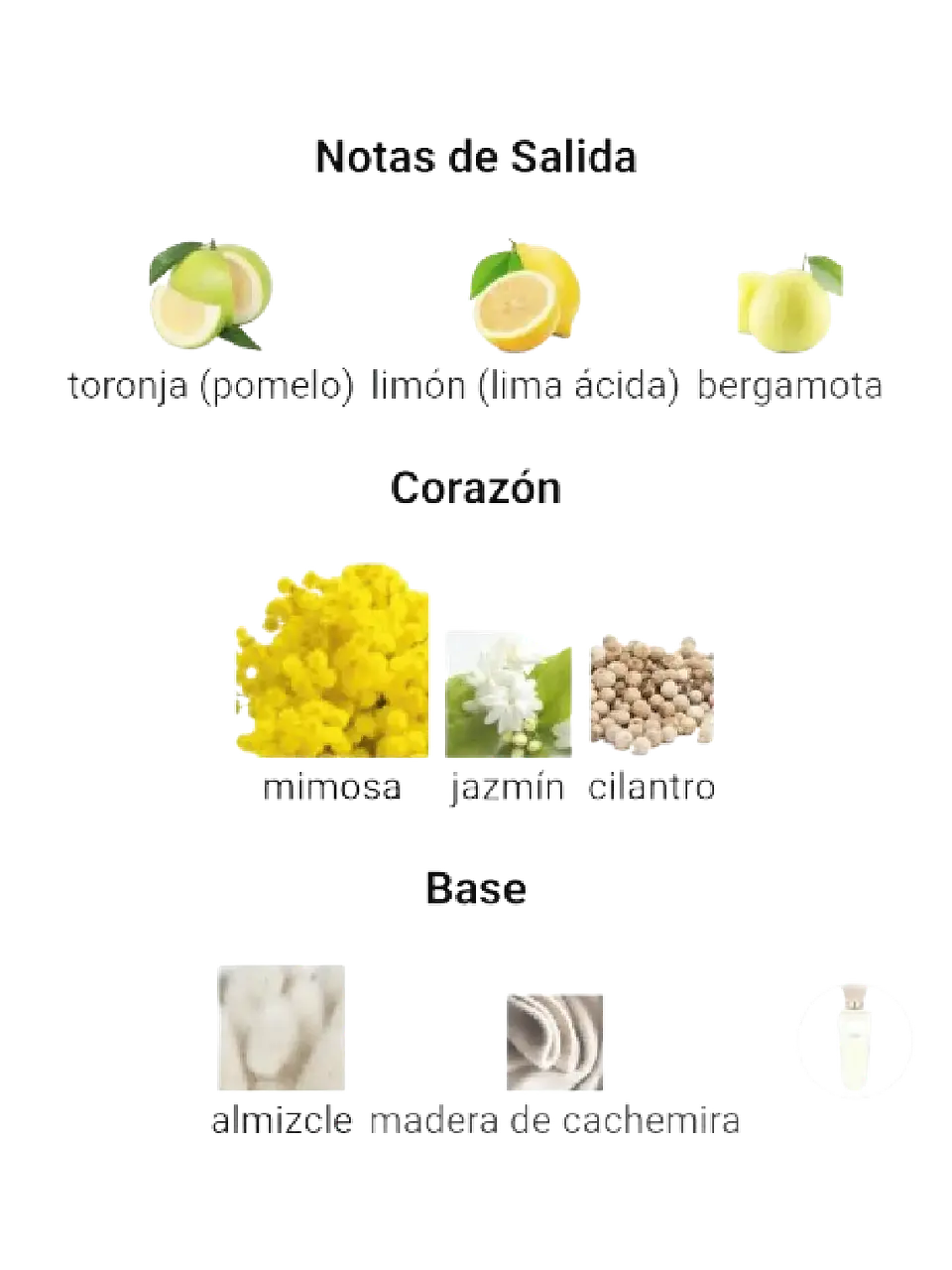 Adolfo Domínguez Aguafresca De Mimosa Coriandro Adolfo Dominguez 120 ML Mujer EDT RF: 10377 4