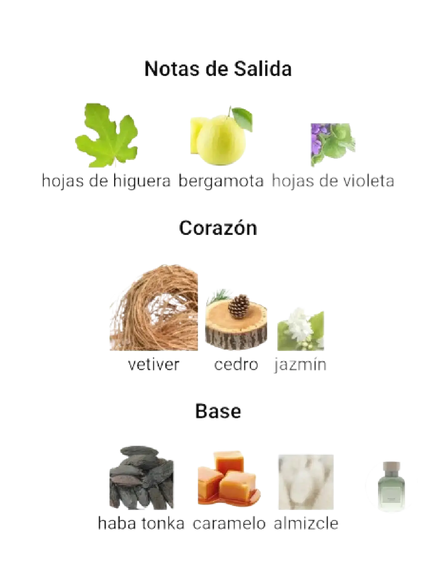 Adolfo Domínguez Set Vetiver Terra De Adolfo Dominguez 2 Pcs Hombre EDP RF: 10216 3