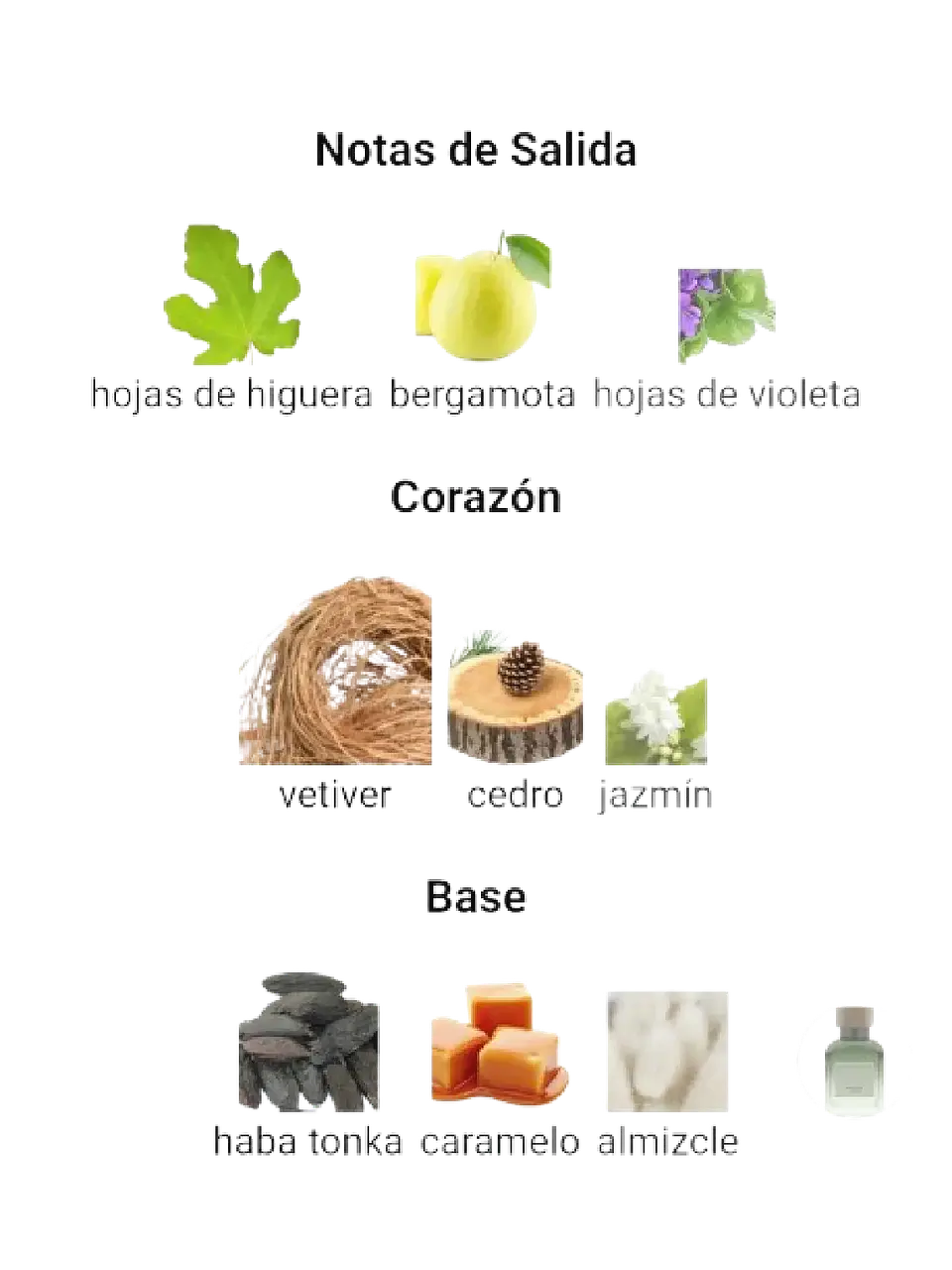 Adolfo Domínguez Set Vetiver Terra De Adolfo Dominguez 2 Pcs Hombre EDP RF: 10216 3