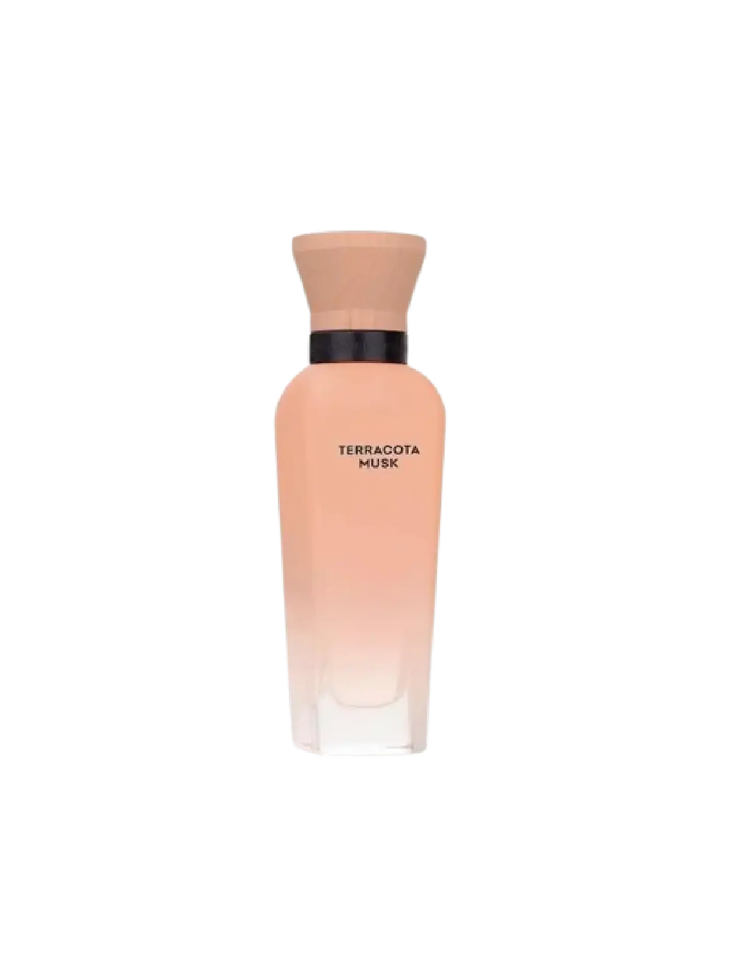 Adolfo Domínguez Terracota Musk Adolfo Dominguez 120 ML Mujer EDP RF: 10214 2