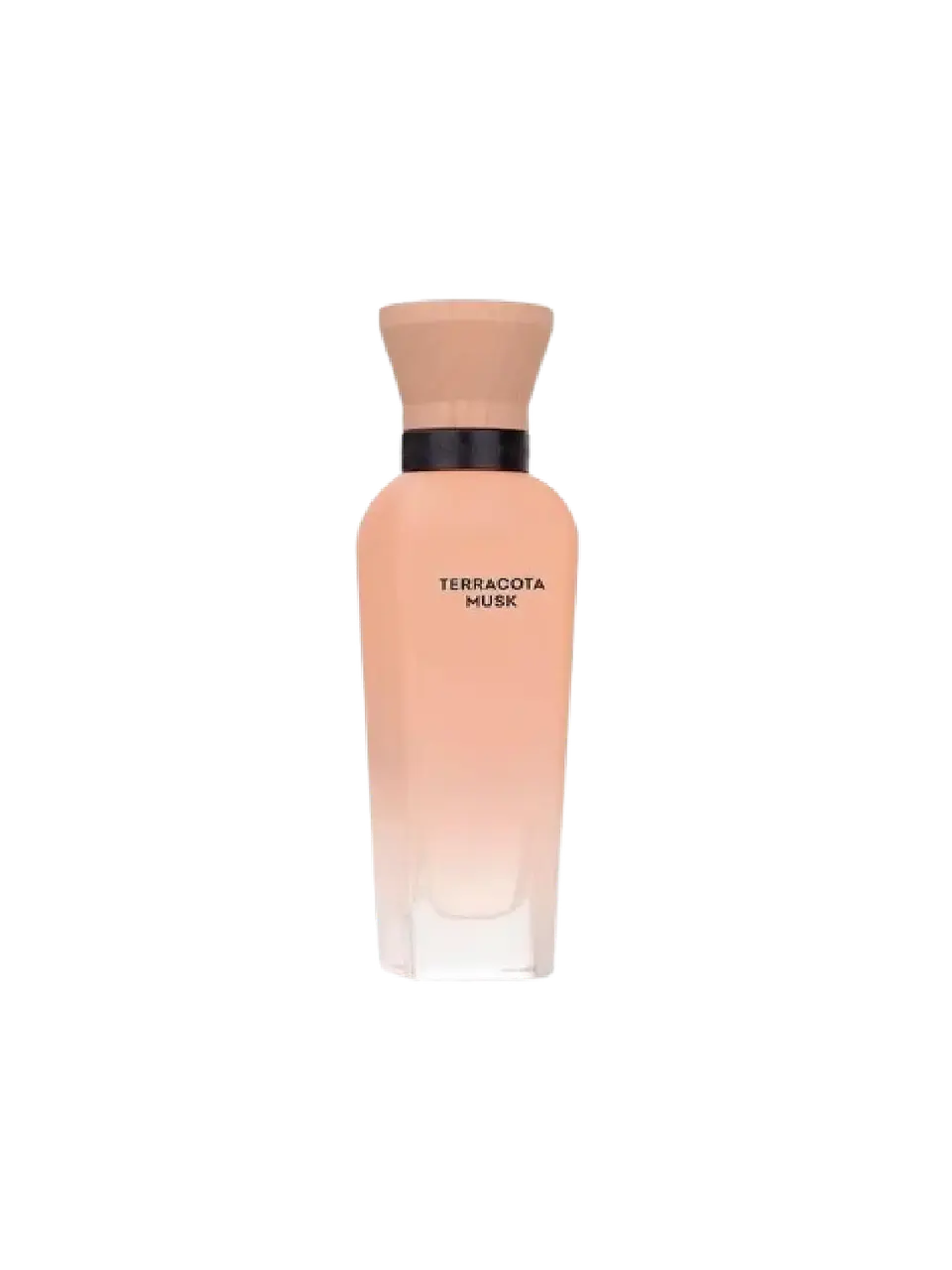 Adolfo Domínguez Terracota Musk Adolfo Dominguez 120 ML Mujer EDP RF: 10214 2