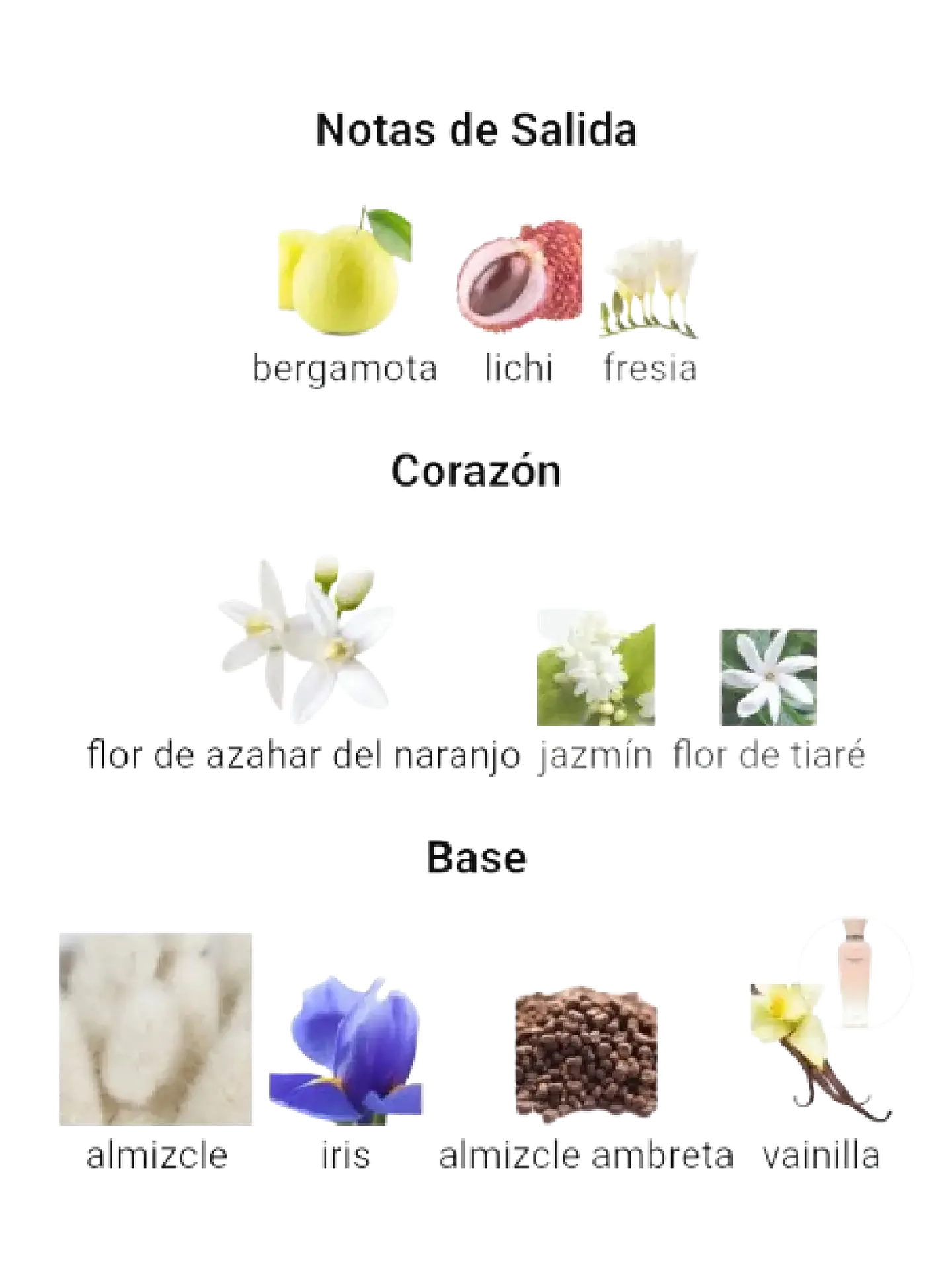 Adolfo Domínguez Terracota Musk Adolfo Dominguez 120 ML Mujer EDP RF: 10214 4