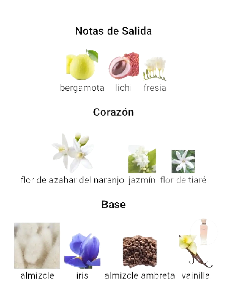 Adolfo Domínguez Terracota Musk Adolfo Dominguez 120 ML Mujer EDP RF: 10214 4