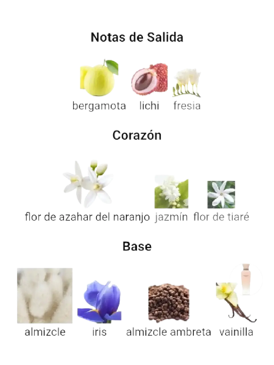 Adolfo Domínguez Terracota Musk Adolfo Dominguez 120 ML Mujer EDP RF: 10214 4