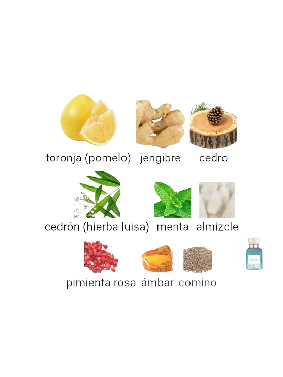 Adolfo Domínguez Aguafresca Citrus Cedro Adolfo Dominguez 120 ML Hombre EDT RF: 10208 4