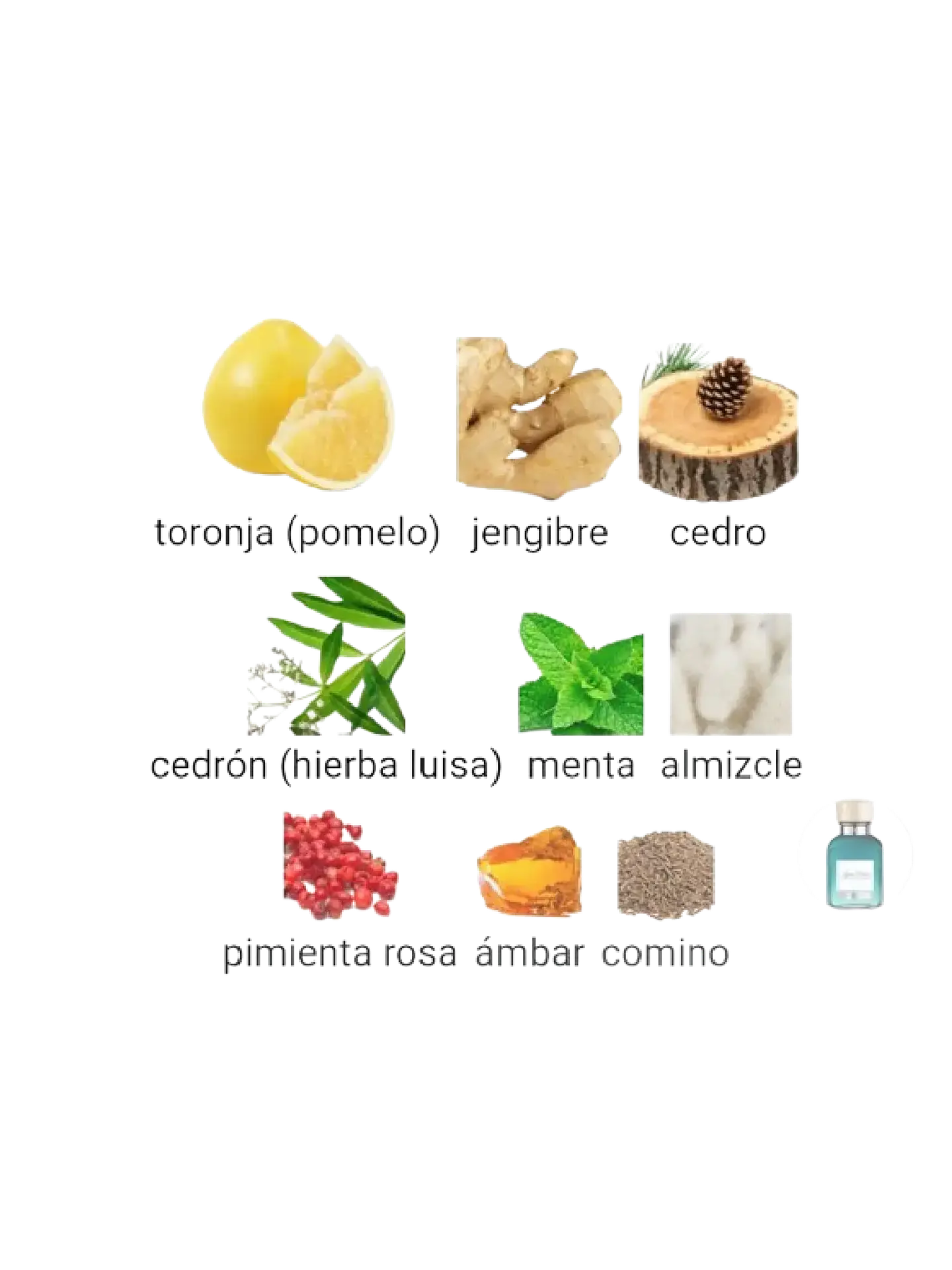 Adolfo Domínguez Aguafresca Citrus Cedro Adolfo Dominguez 120 ML Hombre EDT RF: 10208 4