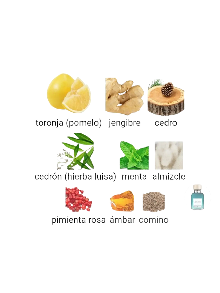 Adolfo Domínguez Aguafresca Citrus Cedro Adolfo Dominguez 120 ML Hombre EDT RF: 10208 4