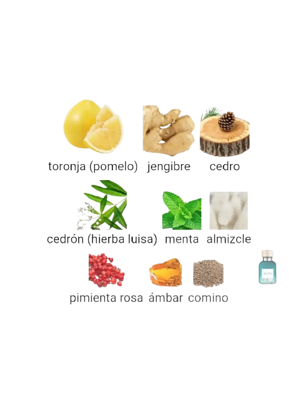 Adolfo Domínguez Aguafresca Citrus Cedro Adolfo Dominguez 120 ML Hombre EDT RF: 10208 4