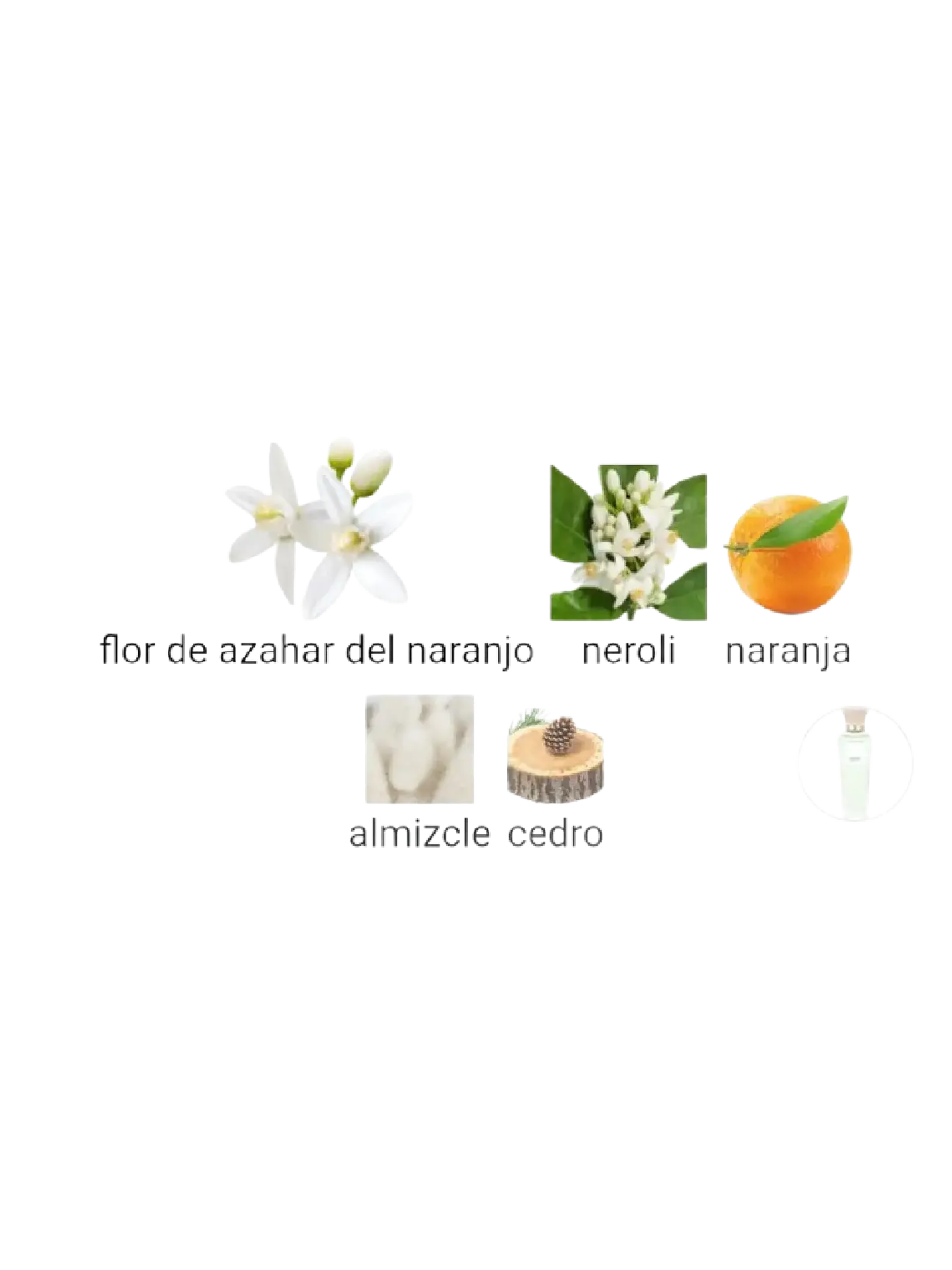 Adolfo Domínguez Azahar Aguafresca Adolfo Dominguez Dama 120 ML EDT RF: 10144 4