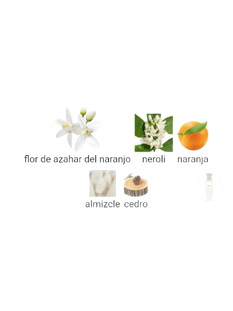 Adolfo Domínguez Azahar Aguafresca Adolfo Dominguez Dama 120 ML EDT RF: 10144 4