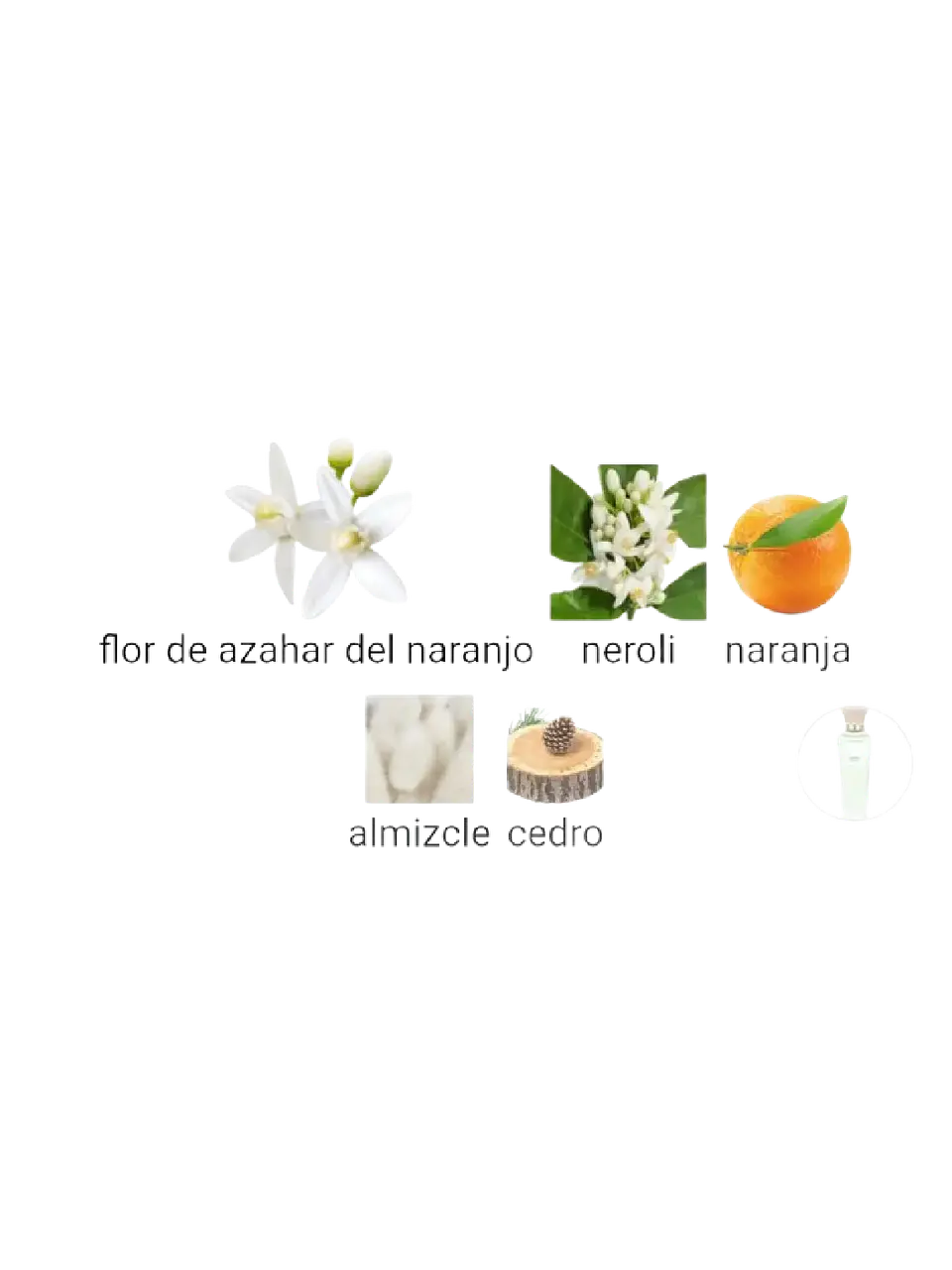 Adolfo Domínguez Azahar Aguafresca Adolfo Dominguez Dama 120 ML EDT RF: 10144 4