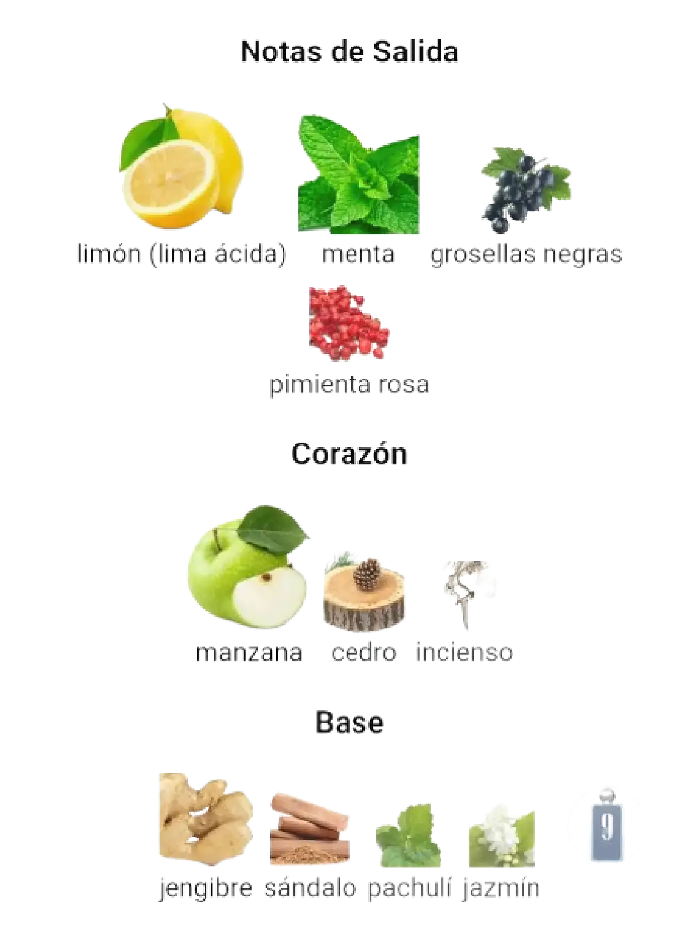 Afnan 9 Am Dive De Afnan 100 ML Hombre EDP RF: 10006 5