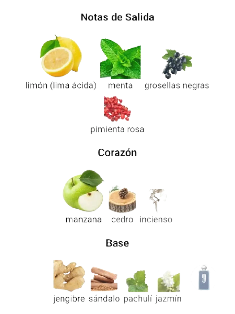 Afnan 9 Am Dive De Afnan 100 ML Hombre EDP RF: 10006 5