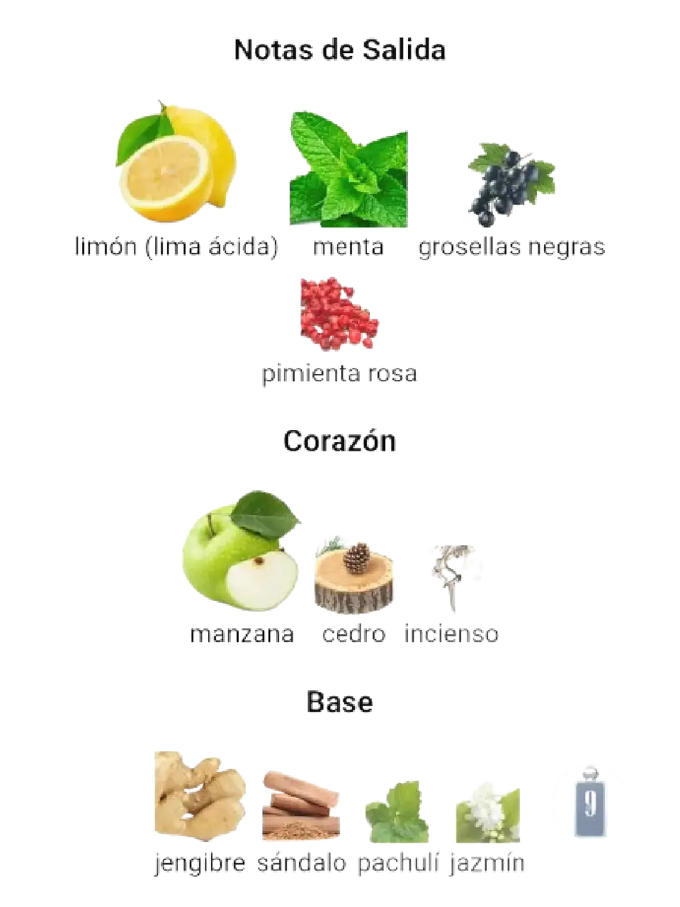 Afnan 9 Am Dive De Afnan 100 ML Hombre EDP RF: 10006 5