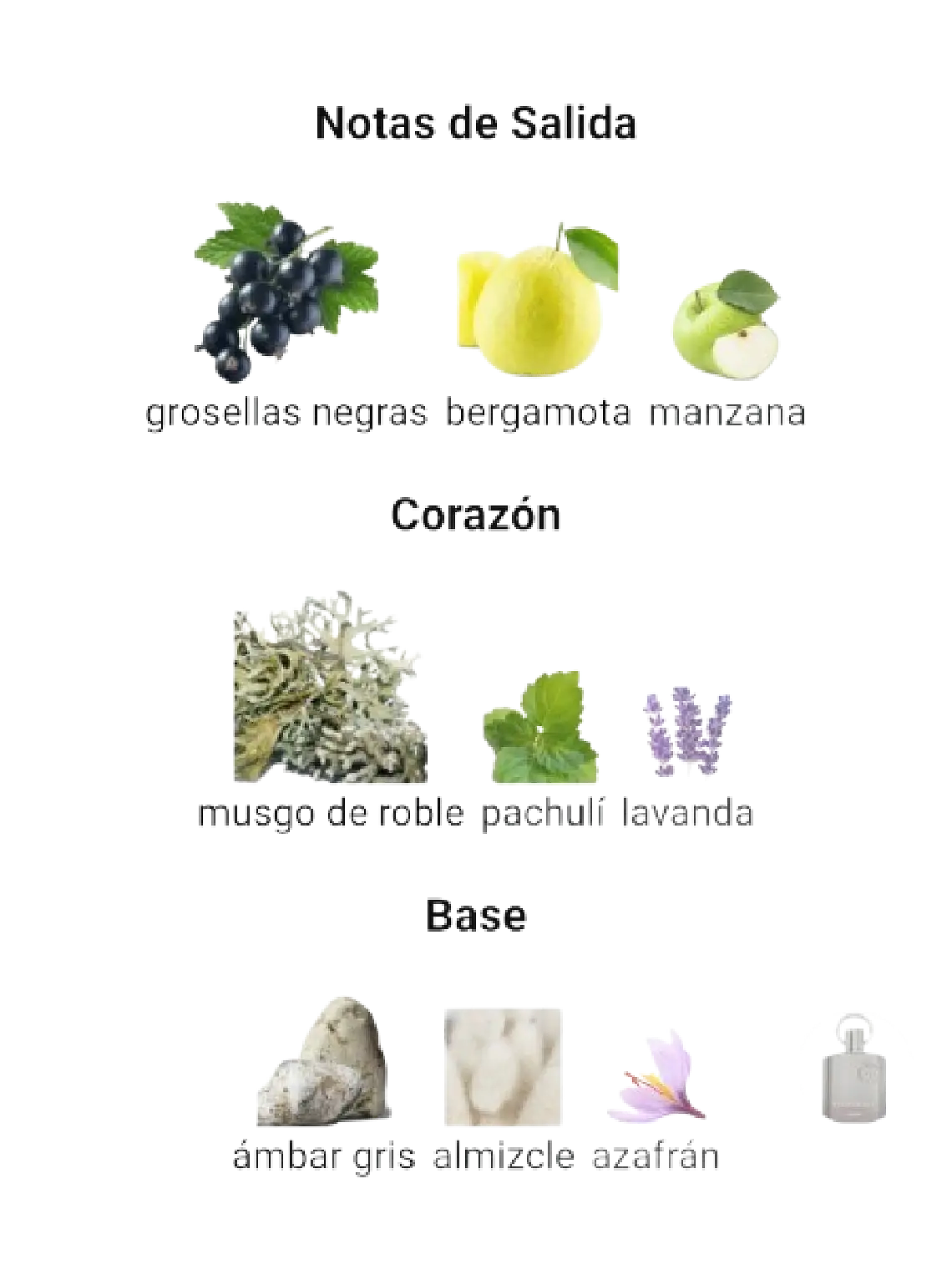 Afnan Supremacy Not Only Intense De Afnan 150 ML Hombre RF: 10005 4