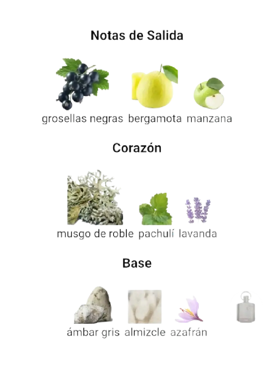 Afnan Supremacy Not Only Intense De Afnan 150 ML Hombre RF: 10005 4